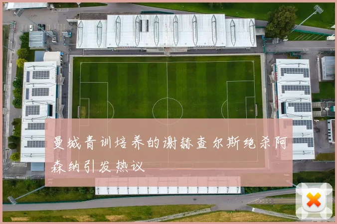 曼城青训培养的谢赫查尔斯绝杀阿森纳引发热议